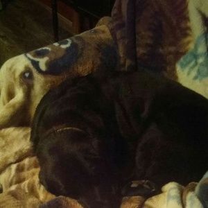 Meet your Posher, Jan